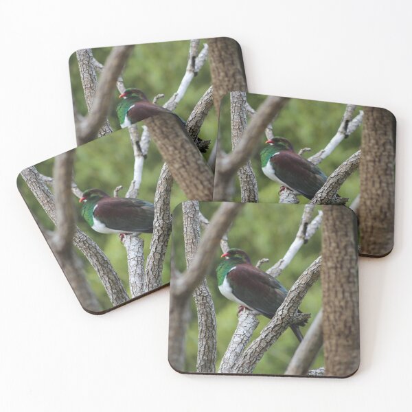 Item preview, kūkupa, kererū, New Zealand Pigeon designed and sold by KiwiImages.