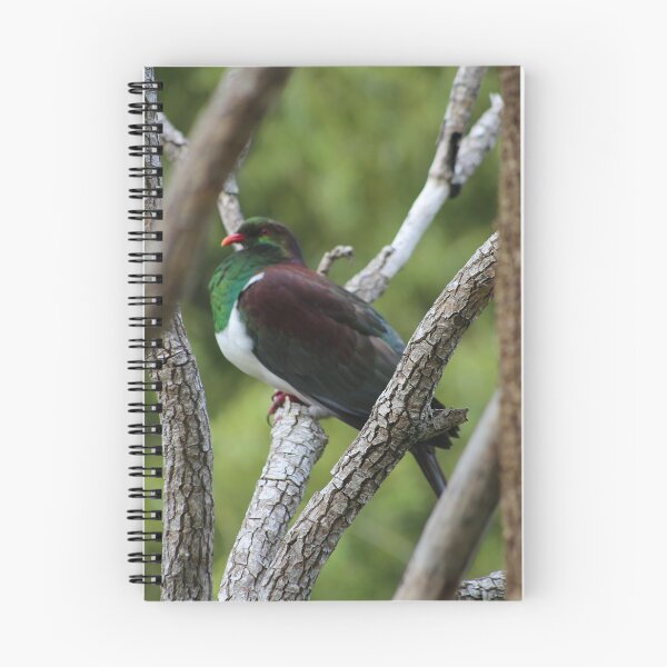 Item preview, kūkupa, kererū, New Zealand Pigeon designed and sold by KiwiImages.