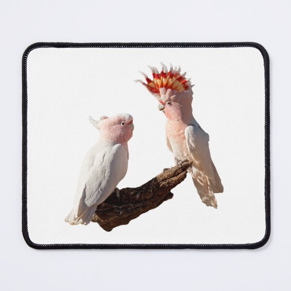 Item preview, Australian Native Birds - Major Mitchell Cockatoos designed and sold by Ozjanette90.