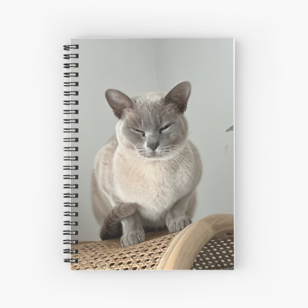 Aperçu de l'œuvre Chaton  créée et vendue par IvycloudARTS.
