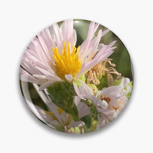 Item preview, Wild Asters  designed and sold by Betsy Phillips.