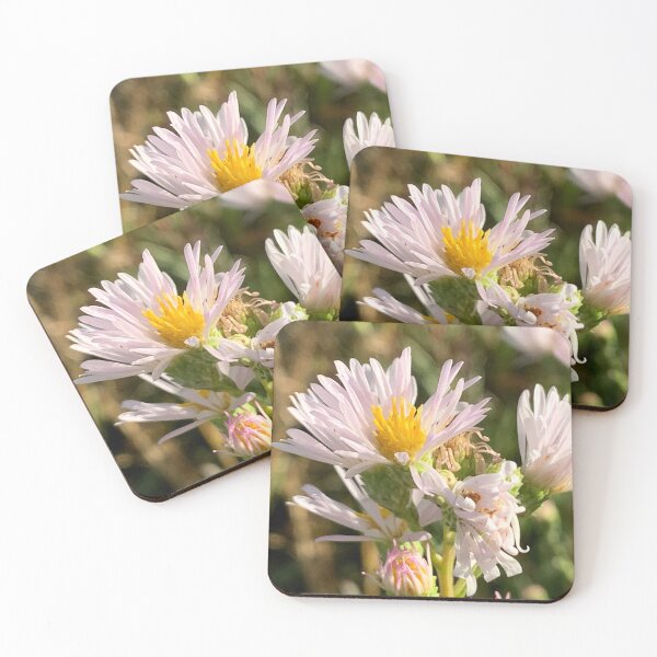 Item preview, Wild Asters  designed and sold by Betsy Phillips.