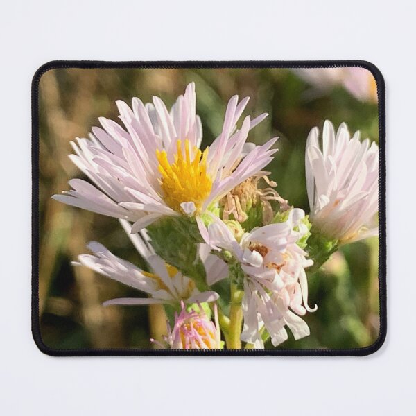 Item preview, Wild Asters  designed and sold by Betsy Phillips.