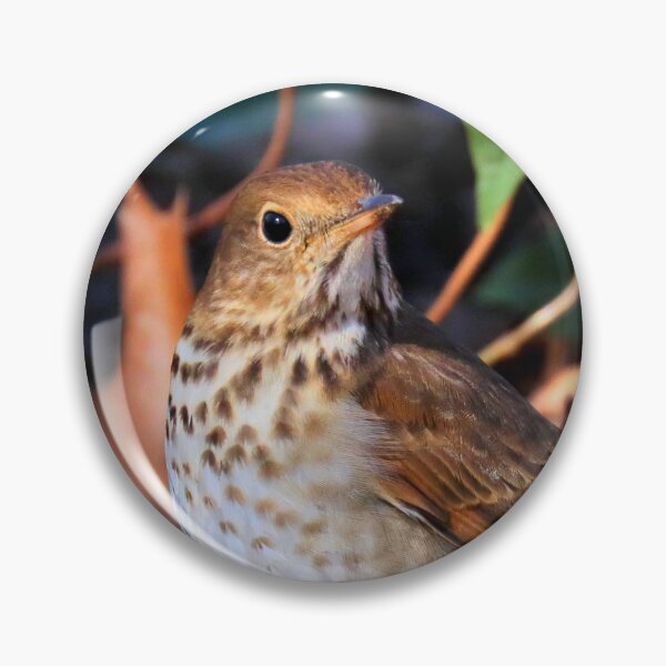 Item preview, Hermit thrush  designed and sold by Parks and X.