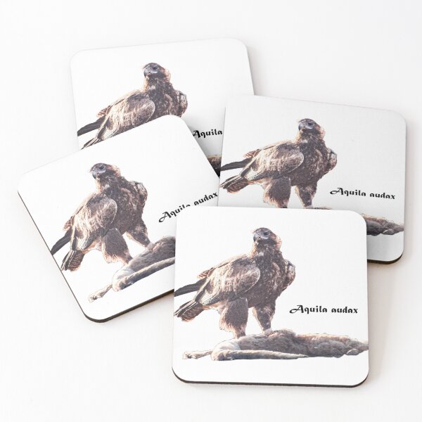 Item preview, Australia's wedge-tailed eagle - Aquila audax with kangaroo prey designed and sold by Ozjanette90.