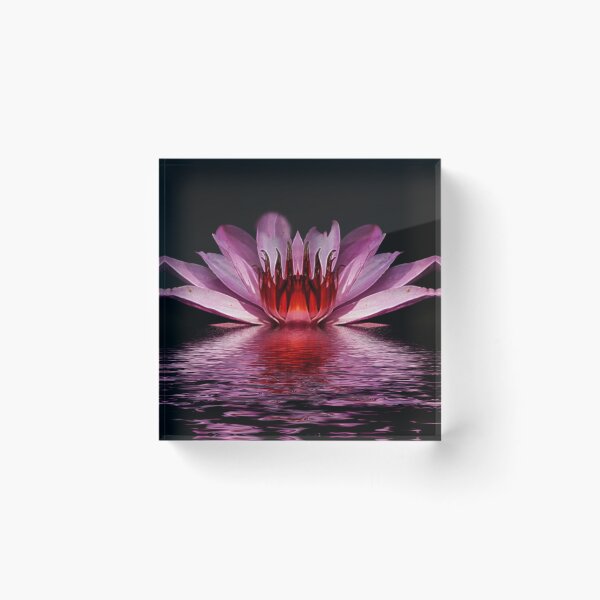 Item preview, Bleeding Lilly - (c) ben yassa  designed and sold by beny .