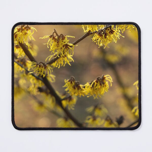 Item preview, Yellow flowers designed and sold by Catrinann.