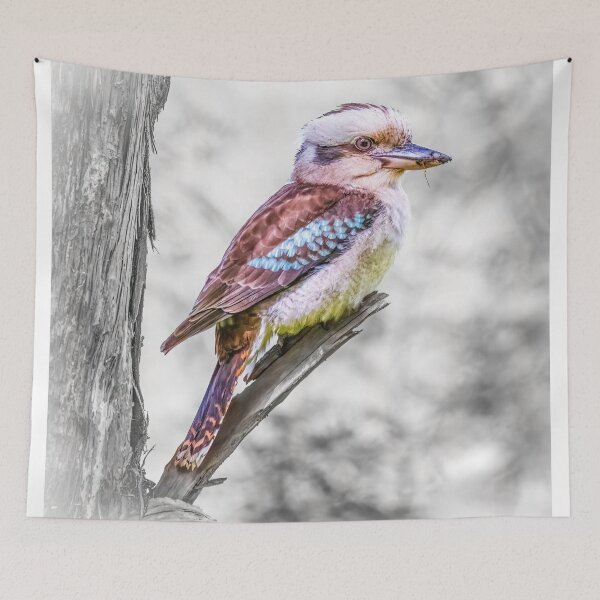 Item preview, A brilliant Laughing Kookaburra designed and sold by Peter Hocking.