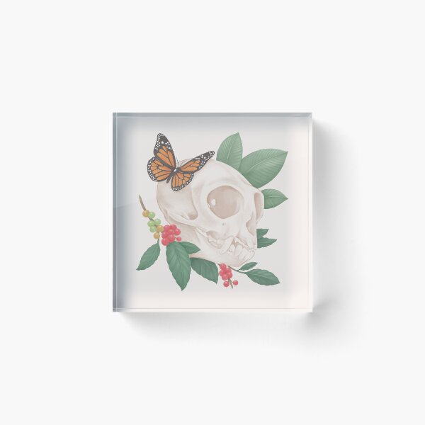 Item preview, Marmoset skull designed and sold by Chimerah Hanssen.
