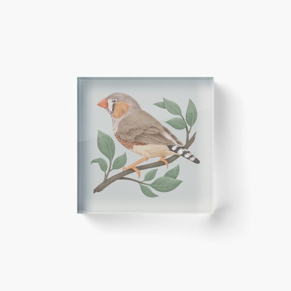 Item preview, Australian zebra finch designed and sold by Chimerah Hanssen.