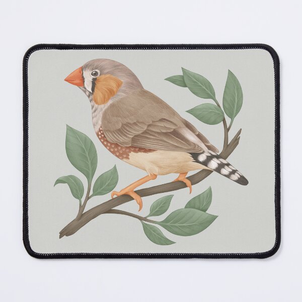 Item preview, Australian zebra finch designed and sold by Chimerah Hanssen.