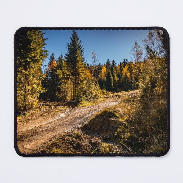 Item preview, Autumn forest designed and sold by YarekPhoto.