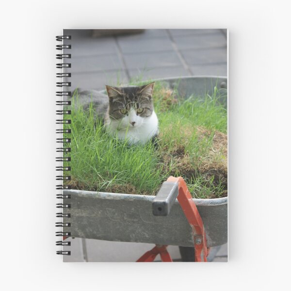 Item preview,  A new meaning to play in the grass designed and sold by sharon Wingard.