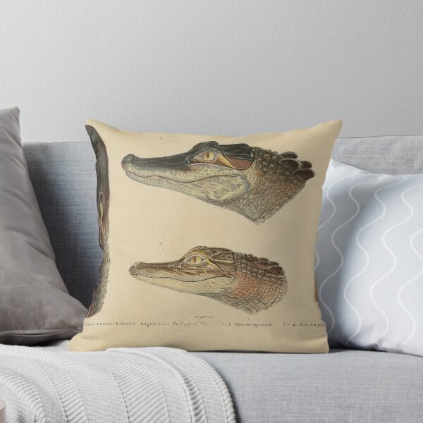 Item preview, Retro Gator Anatomy Zoological Print designed and sold by InnerCitadel.