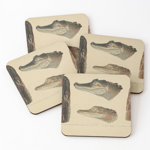 Item preview, Retro Gator Anatomy Zoological Print designed and sold by InnerCitadel.