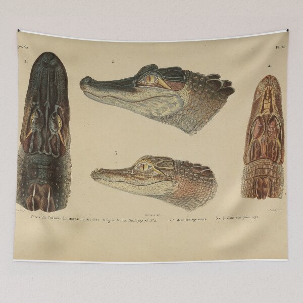 Item preview, Retro Gator Anatomy Zoological Print designed and sold by InnerCitadel.