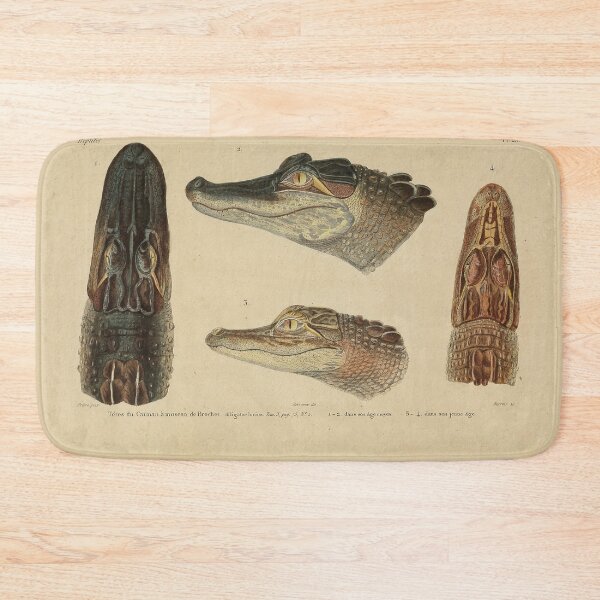 Item preview, Retro Gator Anatomy Zoological Print designed and sold by InnerCitadel.