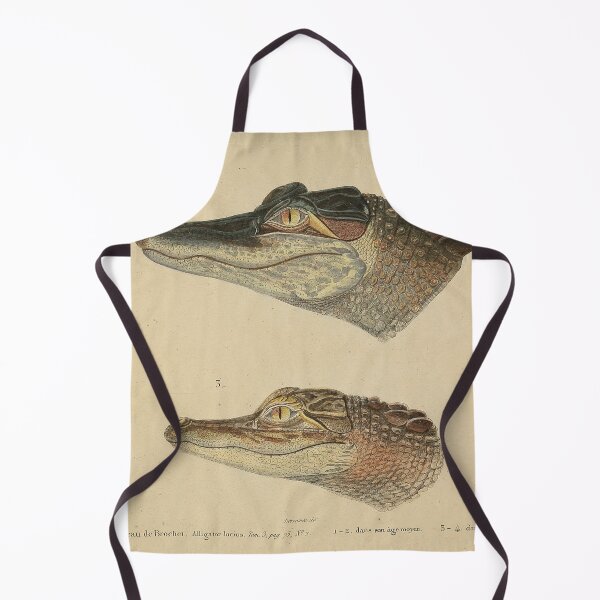 Item preview, Retro Gator Anatomy Zoological Print designed and sold by InnerCitadel.