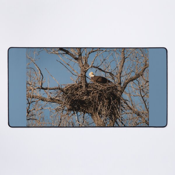 Item preview, Bald Eagle Nest Remodeling designed and sold by Debra Martz.