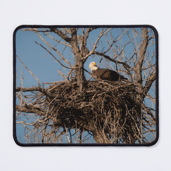 Item preview, Bald Eagle Nest Remodeling designed and sold by Debra Martz.