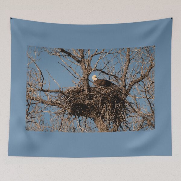 Item preview, Bald Eagle Nest Remodeling designed and sold by Debra Martz.
