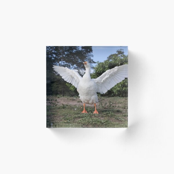 Emden Goose Acrylic Block
