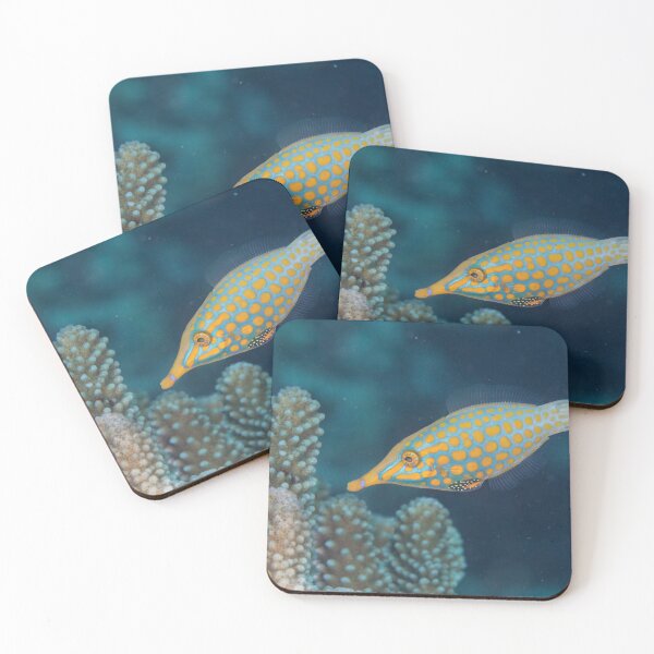 Item preview, Longnose Filefish designed and sold by Mark Rosenstein.