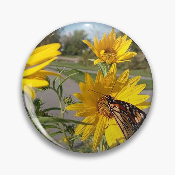 Artikelvorschau, Monarch im Wilkeson Pointe Park entworfen und verkauft von SCTBUFFALOPHOTO.