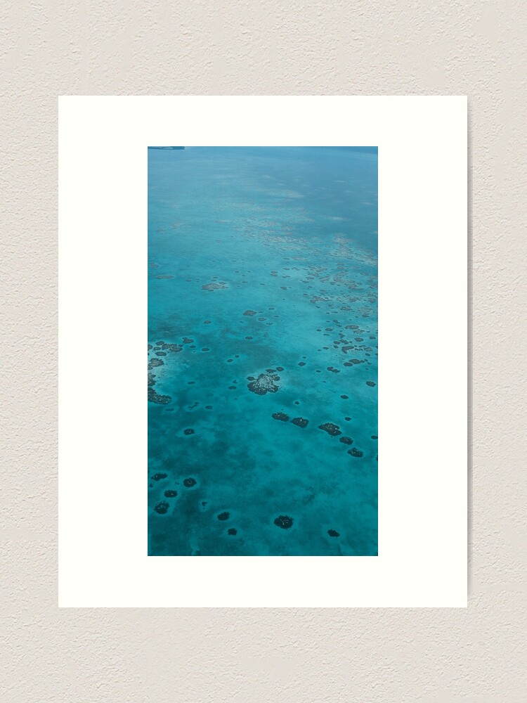 Thumbnail 2 of 3, Art Print, Barrier Reef Photography in the Caribbean designed and sold by Ibitiraquire.