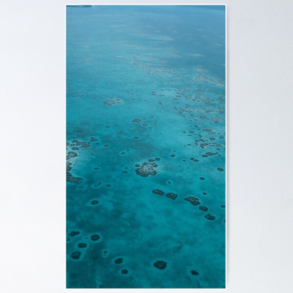 Barrier Reef Photography in the Caribbean Poster