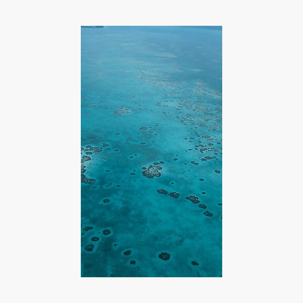 Barrier Reef Photography in the Caribbean Photographic Print