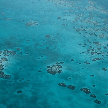Artwork thumbnail, Barrier Reef Photography in the Caribbean by Ibitiraquire