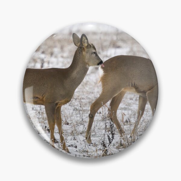Item preview, Behind the back it is safer. Roe dee designed and sold by Jouko Lehto Photography.