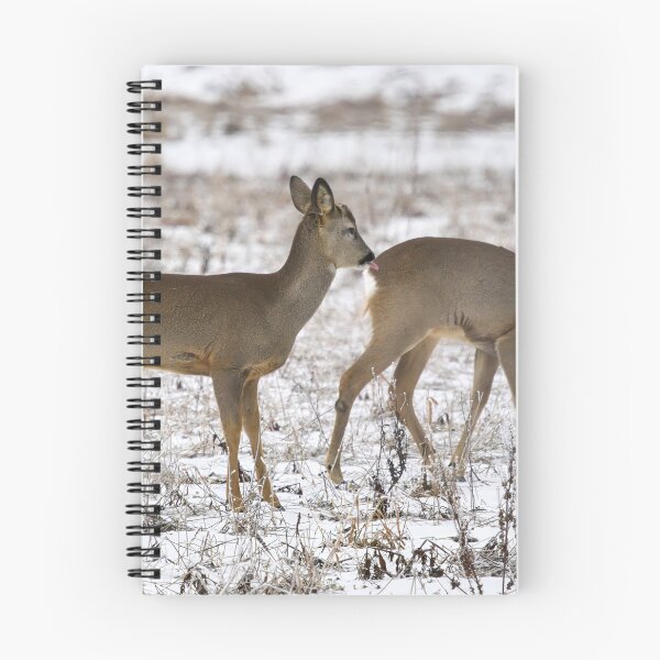 Item preview, Behind the back it is safer. Roe dee designed and sold by Jouko Lehto Photography.