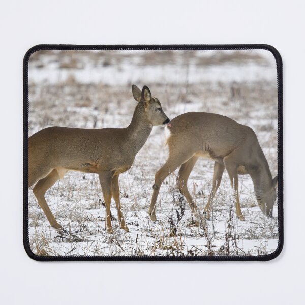 Item preview, Behind the back it is safer. Roe dee designed and sold by Jouko Lehto Photography.