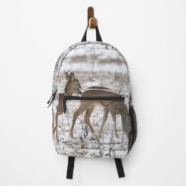 Item preview, Behind the back it is safer. Roe dee designed and sold by Jouko Lehto Photography.