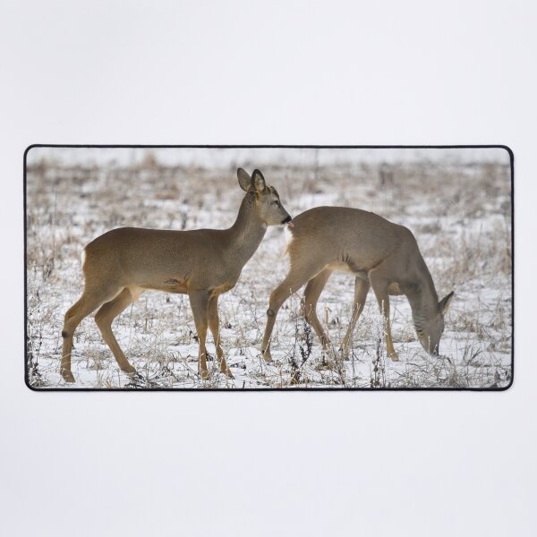 Item preview, Behind the back it is safer. Roe dee designed and sold by Jouko Lehto Photography.