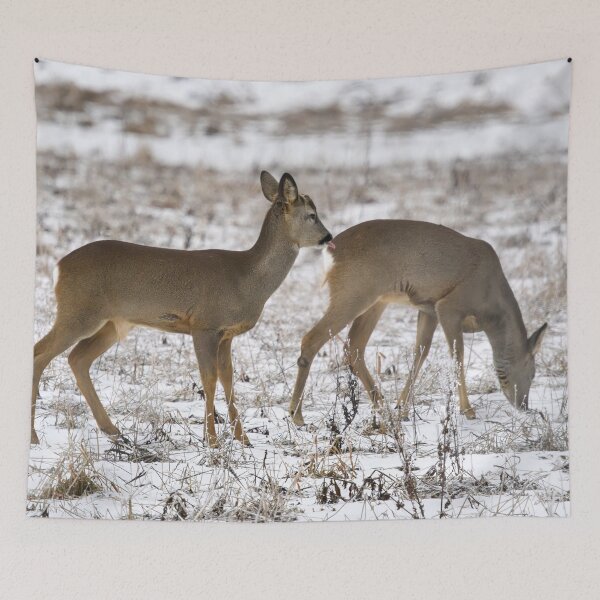 Item preview, Behind the back it is safer. Roe dee designed and sold by Jouko Lehto Photography.