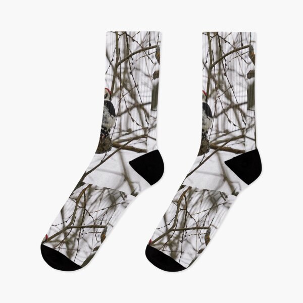 Item preview, Soft wood. White-backed woodpecker designed and sold by Jouko Lehto Photography.