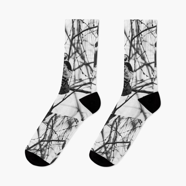 Item preview, Soft wood. White-backed woodpecker bw designed and sold by Jouko Lehto Photography.