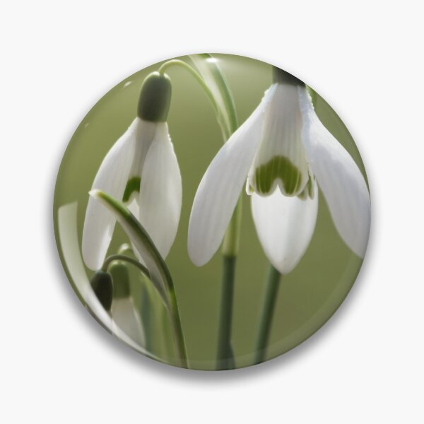 Item preview, Snowdrops designed and sold by JEZ22.