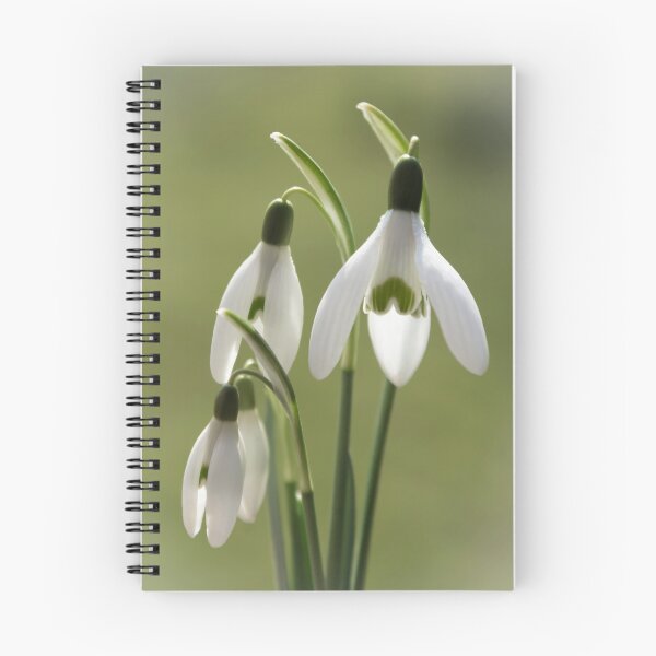Item preview, Snowdrops designed and sold by JEZ22.