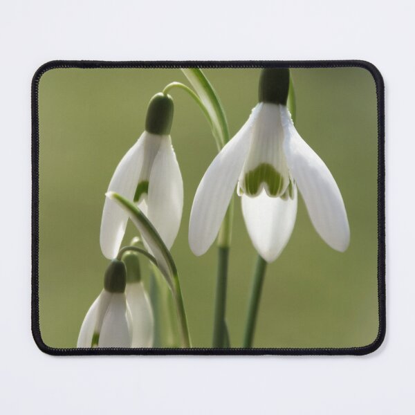 Item preview, Snowdrops designed and sold by JEZ22.