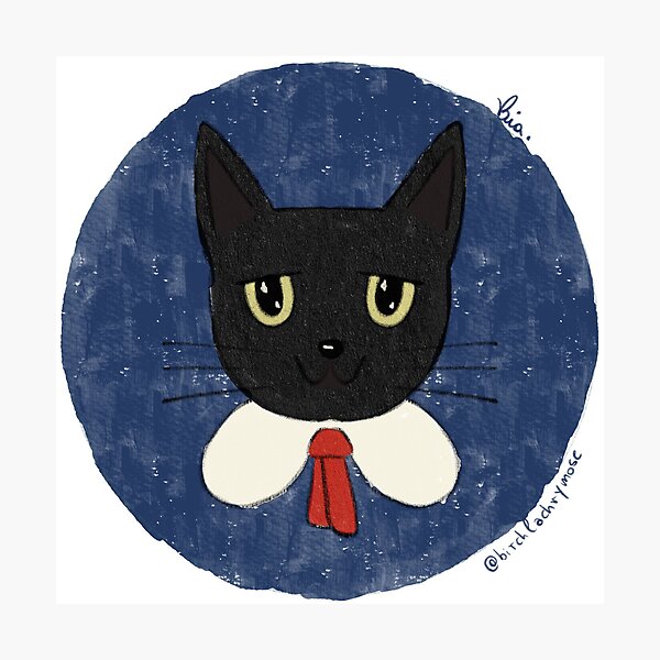 Item preview, Raven the Worried Cat designed and sold by Birch-L.