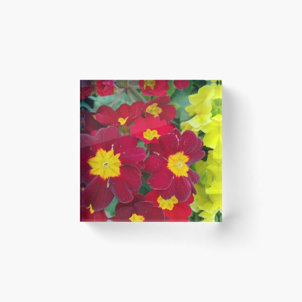 Item preview, Flowers in winter designed and sold by Dreammkd.