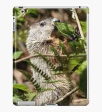 Groundhog iPad Case/Skin