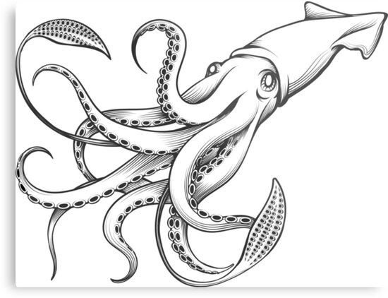 "Giant Squid Engraving Illustration" Metal Prints by ...