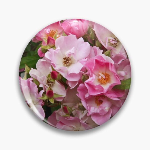 Item preview, Shades of Pink designed and sold by maureen bracewell.