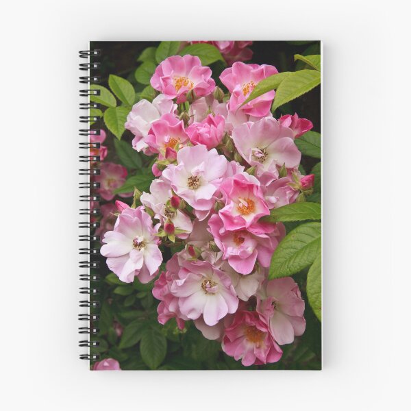 Item preview, Shades of Pink designed and sold by maureen bracewell.