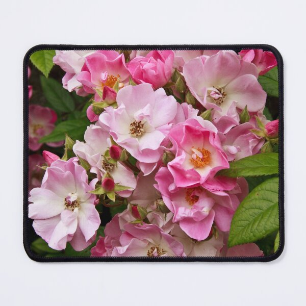 Item preview, Shades of Pink designed and sold by maureen bracewell.